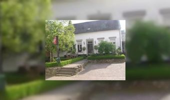 Interview: Roos Mestrini