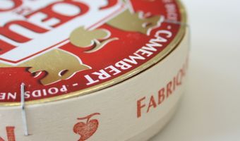 De voor- en nadelen van kaas