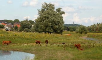 Het Roer Om: “Nu bepaal ik mijn eigen koers”
