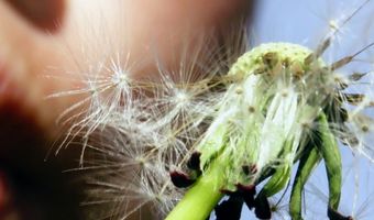 Uit de Branche: genieten en goed doen