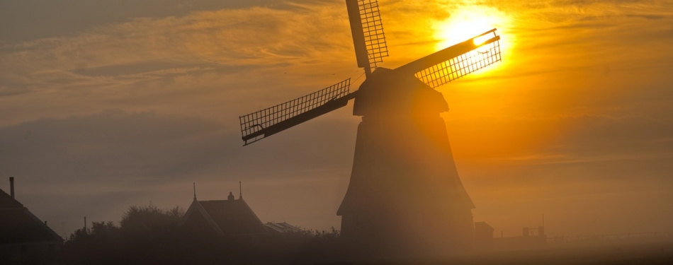 Uit de Branche: een zonnig vooruitzicht