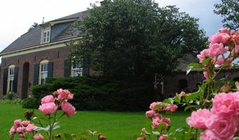 Uit de Branche: hartje stad of de boer op?