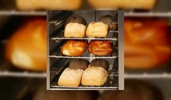 Levens lanceert nieuwe ovenlijn