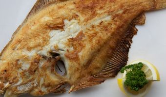 Interview: "Vis eet je in het seizoen!"