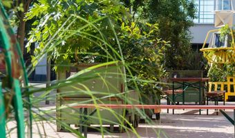 Foodhallen Rotterdam opent zomers terras