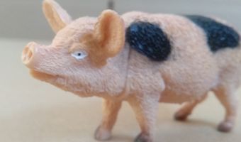 Sterrenrestaurants scoren slecht op vlak van dierenwelzijn