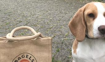 Nieuwe naam voor Bagels & Beans