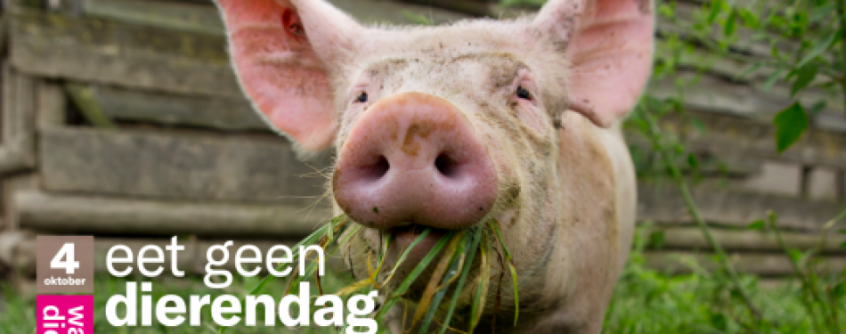 Forse stijging deelnemers ‘Eet Geen Dierendag’