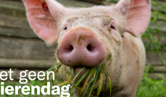 Forse stijging deelnemers ‘Eet Geen Dierendag’