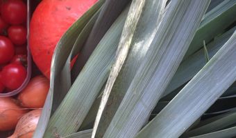 Enschedese lunchroom moet noodgedwongen sluiten