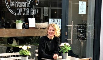 Zo onderneem je in een nieuw horecaconcept: het kattencafé