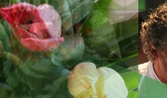 In memoriam: Lucas Rive