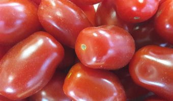 Wat zit er in de originele bolognesesaus?