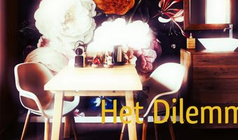 Werk je mee aan Het Dilemma? Het leukste B&B-onderzoek