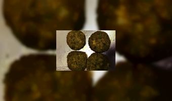 Studenten eten wormenburgers 