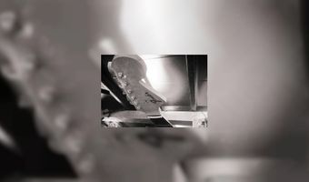 In the spotlight: Café De Noot