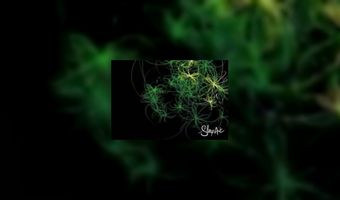 Ibis Hotels lanceert 'Sleep Art'-app