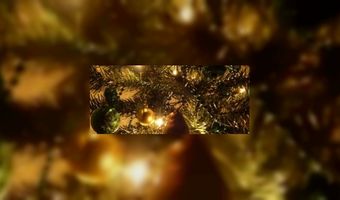 Nederlander wil graag op vakantie met kerst