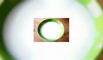 Chef kookt luxegerechten voor de poes