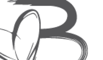 Beluga Loves You zet verbouwing in: 1 augustus weer open