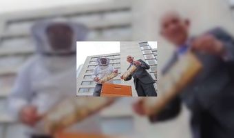 Primeur Hilton Rotterdam met productie eigen honing