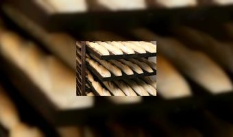 Selectie Leerbedrijf Jaar 2014 Bakkerij