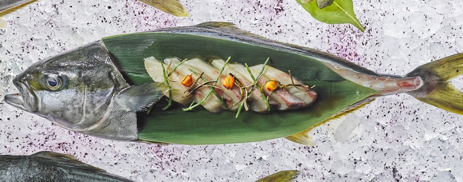 Taiko, in het Conservatorium Hotel, heropent en serveert Hiramasa Kingfish