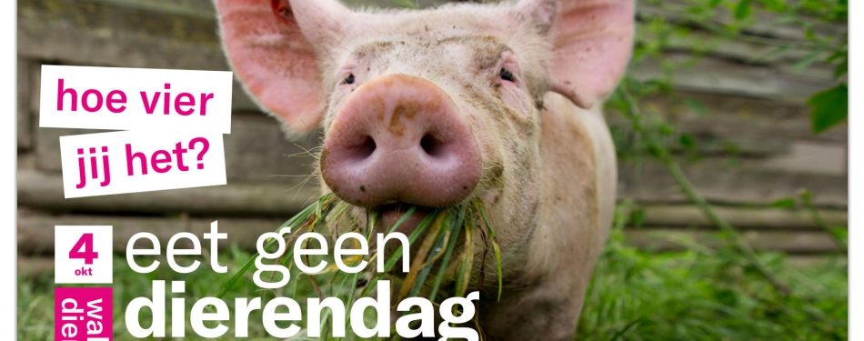 Eet Geen Dierendag: hoe vier jij het?