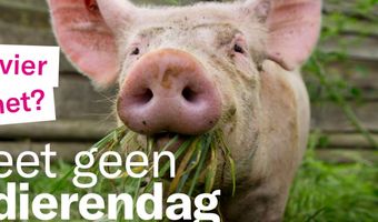 Eet Geen Dierendag: hoe vier jij het?
