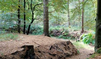 Hotels buiten de Randstad lopen vol tijdens de herfstvakantie