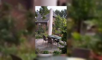 Vier tulpen voor Crescendo