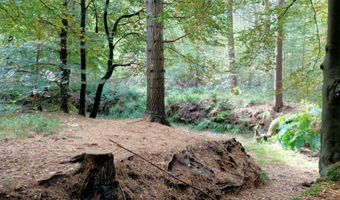 Zomer 2020: Nederlanders vaker op vakantie in eigen land