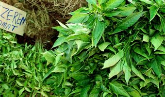 Wanneer zijn trends interessant?