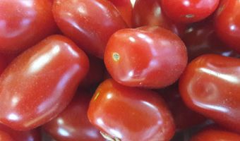 Duurzaam is een containerbegrip