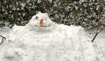 Extreem weer: Haarlems hotel vangt daklozen op