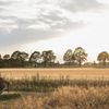 Goede hygiëne en schoonmaak tellen zwaar mee bij bepalen accommodatie