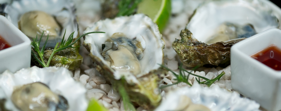 Waddengastronomie moet culinaire toerist naar waddengebied halen