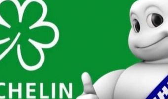 Deze chefs wonnen de Groene Michelinster