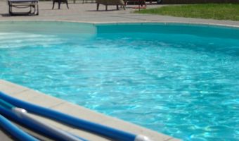 Kameel belandt in zwembad B&B