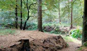 Henk Krol blijkt niet de eigenaar te zijn van 'zijn' B&B