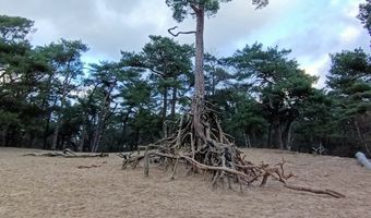 Onderzoek: zomervakantie ook dit jaar het liefst in eigen land