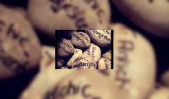 Antichic draagt steentje bij