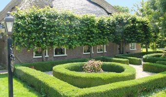 Verdubbeling boekingen Duitse vakantiegangers in Nederland