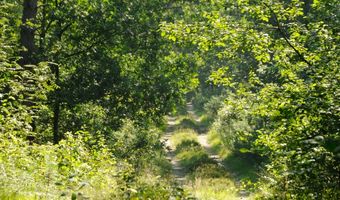Hotellerie gaat C02-uitstoot compenseren