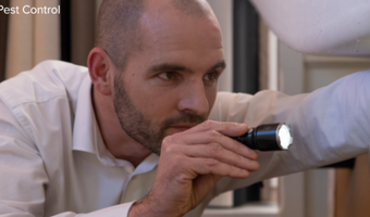 Bedwantsen in je B&B. Herken je ze?