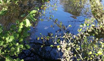 De 'workation' biedt perspectief voor hotels buiten de Randstad