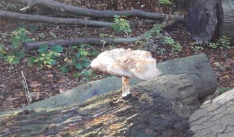 Dit zijn de omzetkansen voor de herfstvakantie