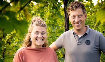 Betuws Wijndomein maakt beste rode wijn van Nederland en België