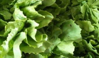 Vier op vijf Nederlanders wil meer plantaardig aanbod in de horeca