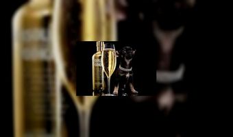 Alle driesterrenrestaurants in half jaartje